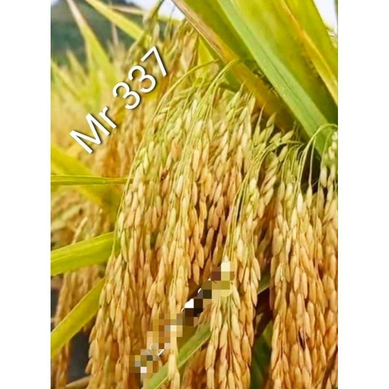 Product detail media - 2