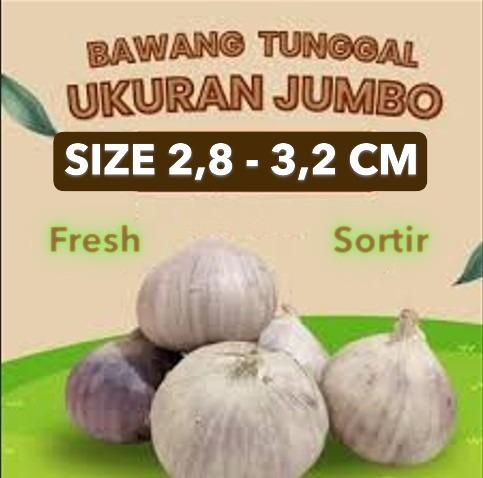 Product detail media - 2