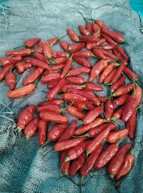 Product detail media - 2