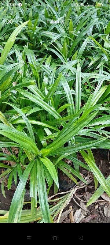 Product detail media - 2