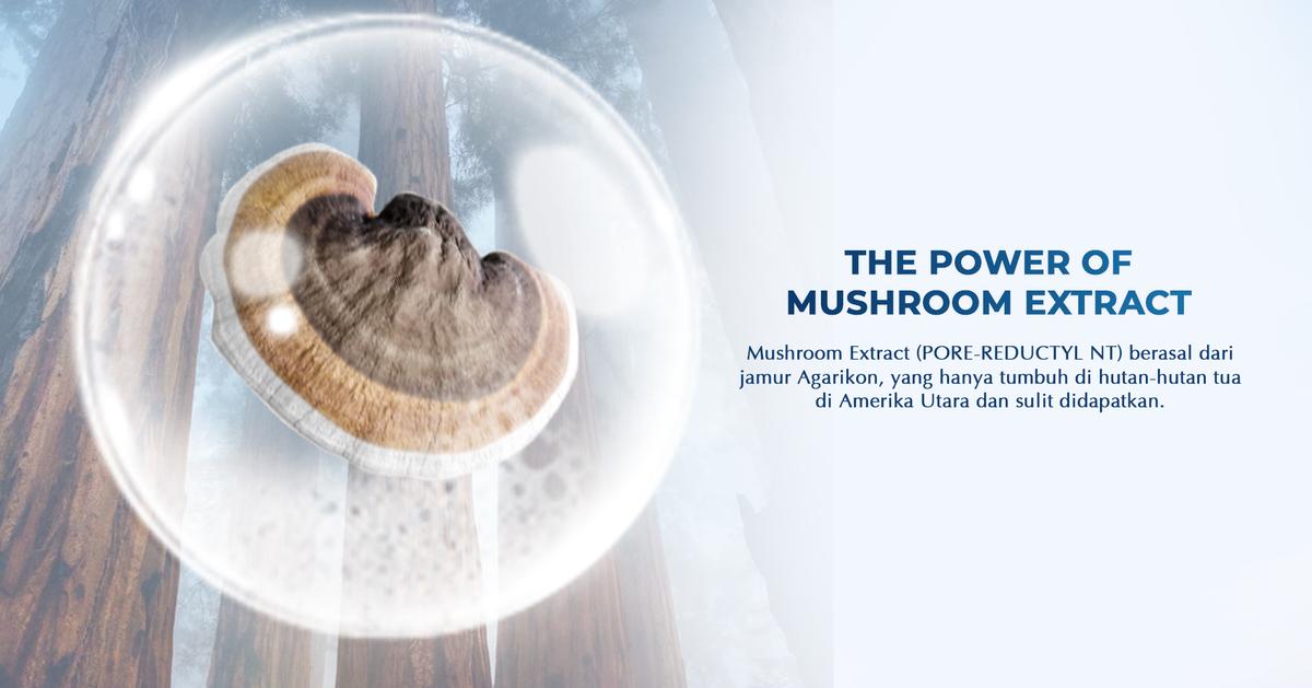 Product detail media - 2