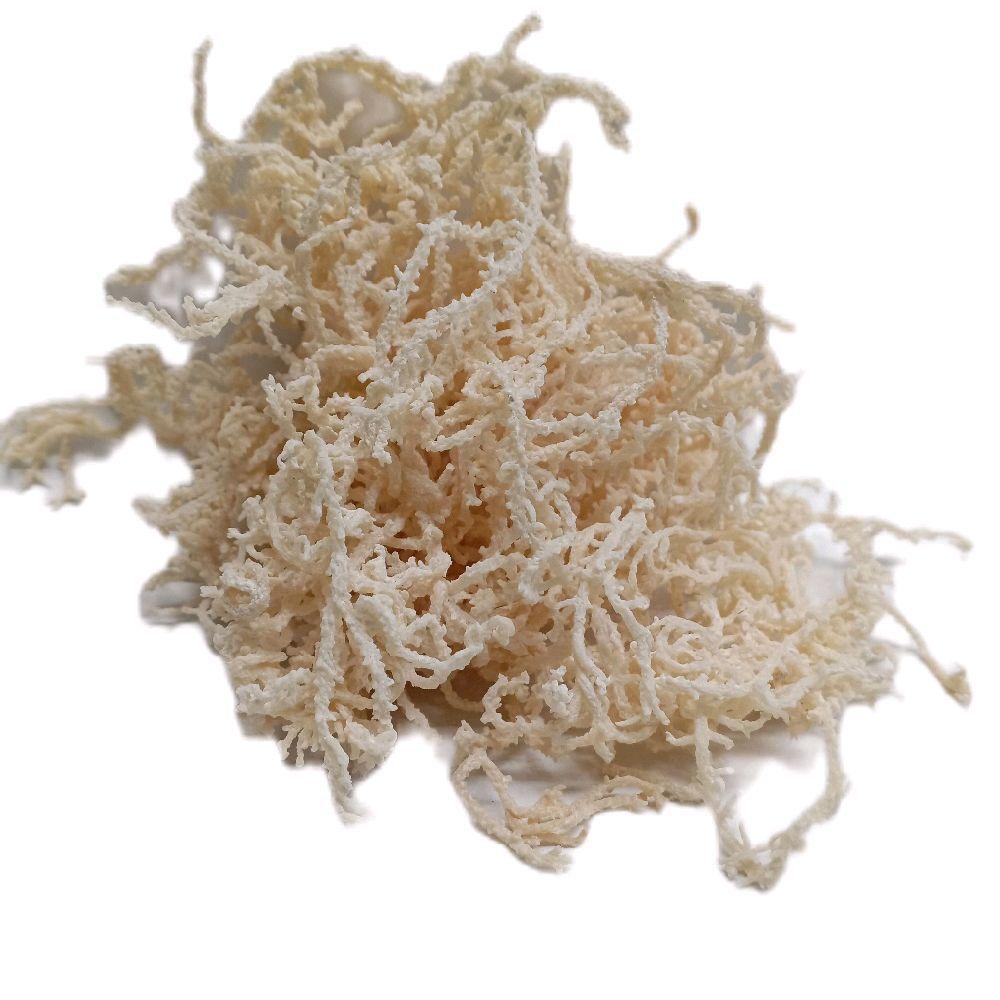 Product detail media - 1