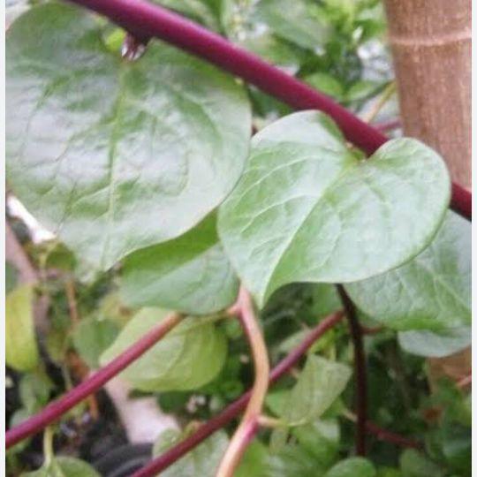 Product detail media - 2