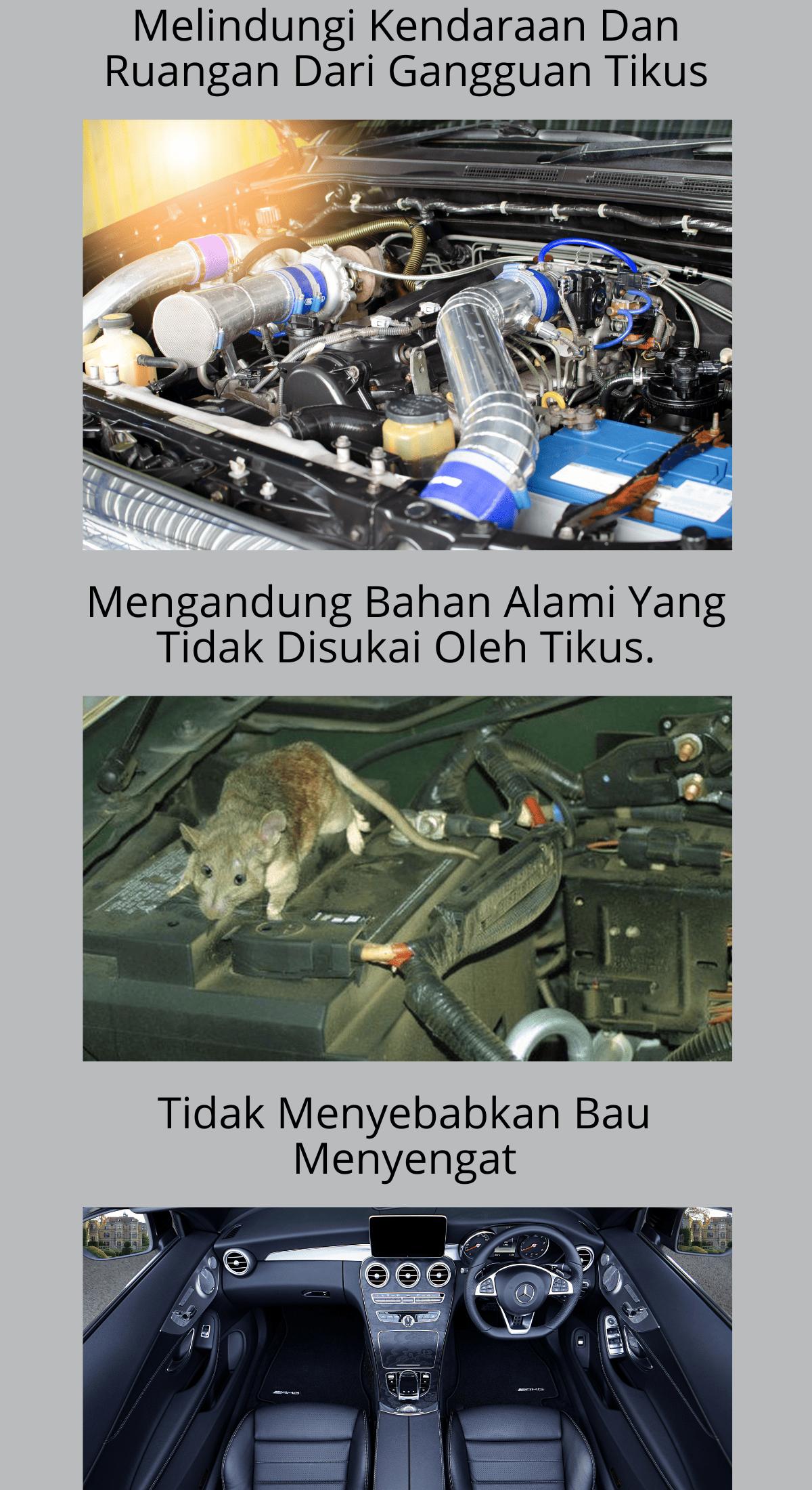 Product detail media - 2